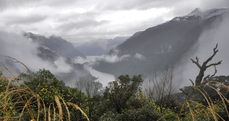 Doubtful Sounds Day Tour