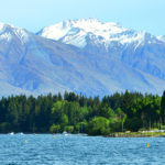 Lake Wanaka, 20 Days NZ Nature & Wildlife Experience Tour