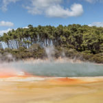 Rotorua, 20 Days NZ Nature & Wildlife Experience Tour