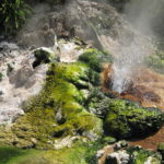 birds_nest_spring_blowing_its_top - Waimangu Volcanic Valley