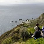 Kapiti Island