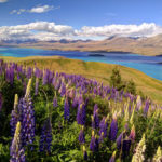 Mackenzie Country