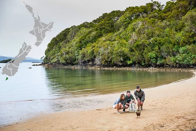 Ulva Island, Stewart Island Tours / Trips Photo Credit: Miles Holden