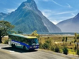 New Zealand Coach Tours